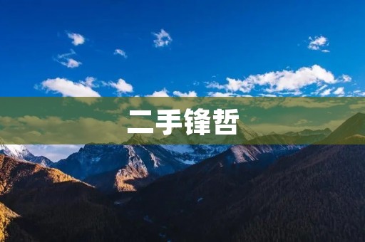 二手锋哲:让你拥有高性价比的豪华座驾 二手锋哲:让你拥有高性价比的豪华座驾