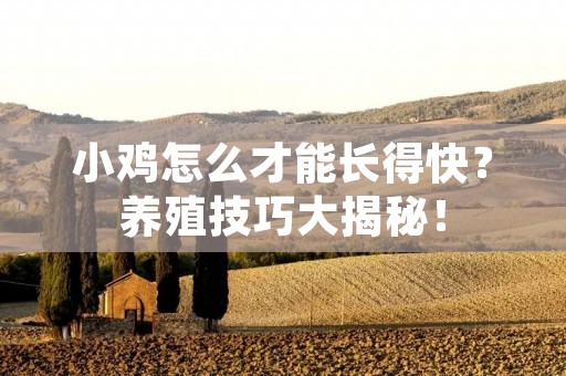 小鸡怎么才能长得快?养殖技巧大揭秘!