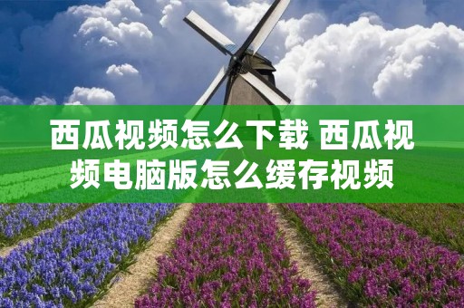 西瓜视频怎么下载 西瓜视频电脑版怎么缓存视频 西瓜视频怎么下载 西瓜视频电脑版怎么缓存视频