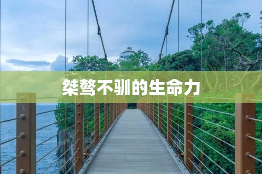桀骜不驯的生命力:探究叛逆的本质