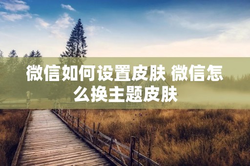 微信如何设置皮肤 微信怎么换主题皮肤 微信如何设置皮肤 微信怎么换主题皮肤
