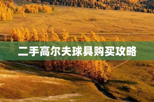 二手高尔夫球具购买攻略:如何选购适合自己的高尔夫球杆 二手高尔夫球具购买攻略:如何选购适合自己的高尔夫球杆