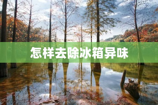 怎样去除冰箱异味