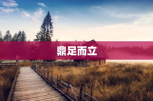 鼎足而立：企业竞争中的巅峰之战