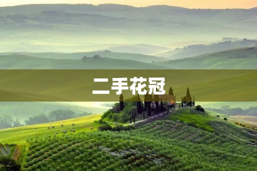 二手花冠:性价比之选 二手花冠:性价比之选