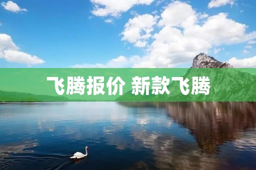 飞腾报价 新款飞腾