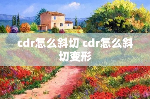 cdr怎么斜切 cdr怎么斜切变形