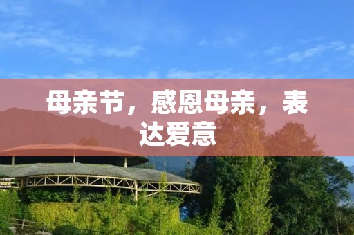 母亲节,感恩母亲,表达爱意