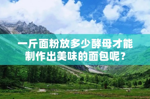 一斤面粉放多少酵母才能制作出美味的面包呢?