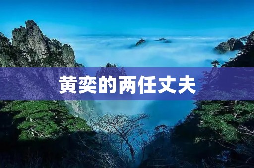 黄奕的两任丈夫:婚姻中的风云变幻