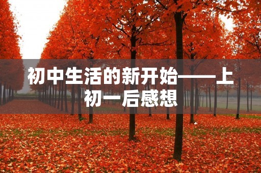 初中生活的新开始——上初一后感想