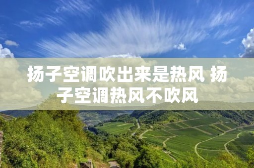 扬子空调吹出来是热风 扬子空调热风不吹风
