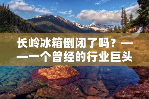 长岭冰箱倒闭了吗?——一个曾经的行业巨头的沉浮 长岭冰箱倒闭了吗?——一个曾经的行业巨头的沉浮