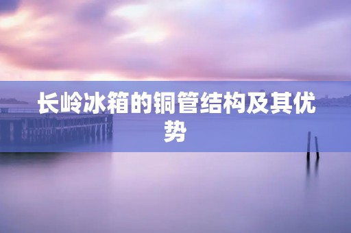 长岭冰箱的铜管结构及其优势