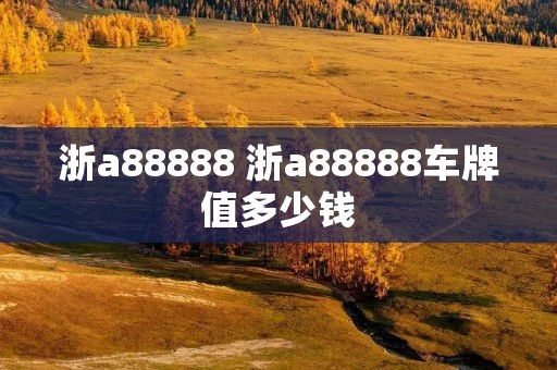 浙a88888 浙a88888车牌值多少钱