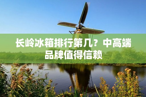 长岭冰箱排行第几？中高端品牌值得信赖
