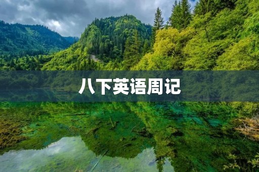 八下英语周记：我的暑假计划