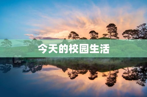 今天的校园生活 今天的校园生活