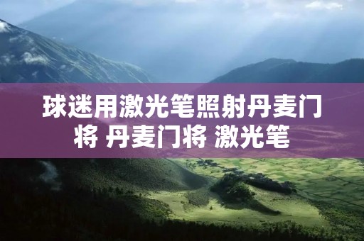 球迷用激光笔照射丹麦门将 丹麦门将 激光笔
