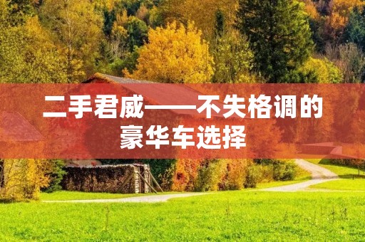 二手君威——不失格调的豪华车选择 二手君威——不失格调的豪华车选择
