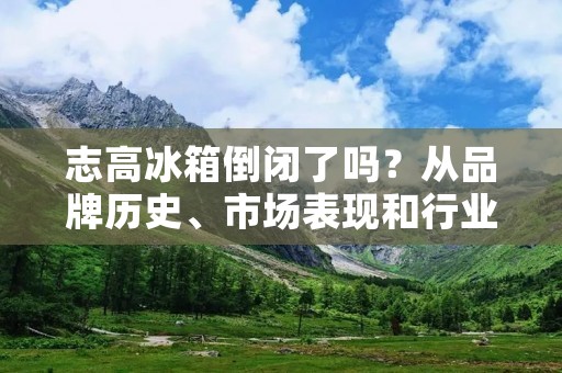 志高冰箱倒闭了吗?从品牌历史、市场表现和行业趋势三个方面来看,我们可以对此进行探究。 志高冰箱倒闭了吗?从品牌历史、市场表现和行业趋势三个方面来看,我们可以对此进行探究。