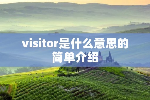 visitor是什么意思的简单介绍