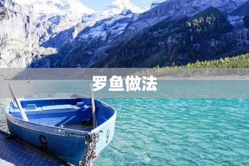 罗鱼做法：一道传统美食的制作过程