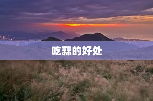 吃蒜的好处:你知道吗? 吃蒜的好处:你知道吗?