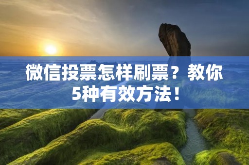 微信投票怎样刷票?教你5种有效方法! 微信投票怎样刷票?教你5种有效方法!