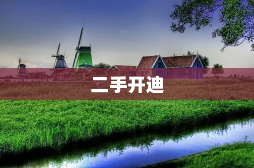 二手开迪:性价比高的选择