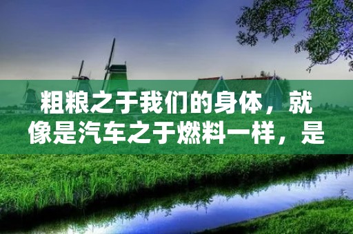 粗粮之于我们的身体,就像是汽车之于燃料一样,是我们身体的能源来源。粗粮指的是未经过加工或是较少加工的谷物,如黑米、玉米、燕麦、小麦等等。相较于白面、白米这些精细加工的食品,粗粮有着更多的营养成分和纤维素,因此在保持身体健康方面具有非常重要的作用。 粗粮之于我们的身体,就像是汽车之于燃料一样,是我们身体的能源来源。粗粮指的是未经过加工或是较少加工的谷物,如黑米、玉米、燕麦、小麦等等。相较于白面、白米这些精细加工的食品,粗粮有着更多的营养成分和纤维素,因此在保持身体健康方面具有非常重要的作用。