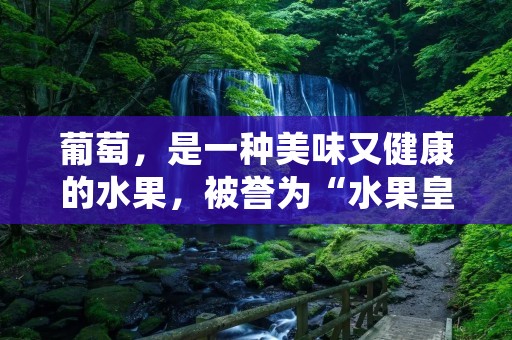 葡萄,是一种美味又健康的水果,被誉为“水果皇后”。葡萄的好处不仅仅体现在它的美味口感上,更因为它的营养价值和药用价值而备受人们的青睐。 葡萄,是一种美味又健康的水果,被誉为“水果皇后”。葡萄的好处不仅仅体现在它的美味口感上,更因为它的营养价值和药用价值而备受人们的青睐。