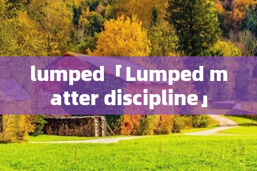 lumped「Lumped matter discipline」 lumped「Lumped matter discipline」