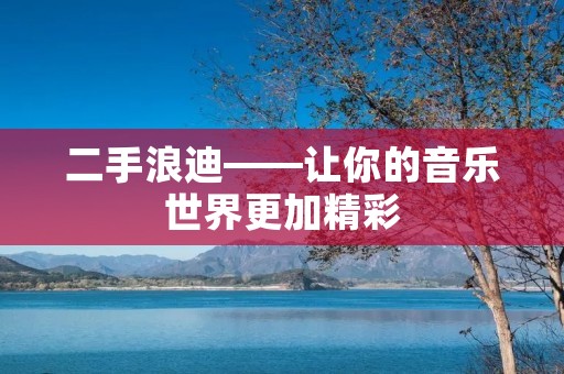 二手浪迪——让你的音乐世界更加精彩 二手浪迪——让你的音乐世界更加精彩