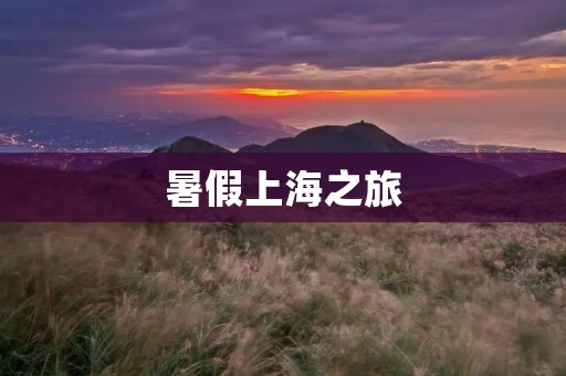 暑假上海之旅