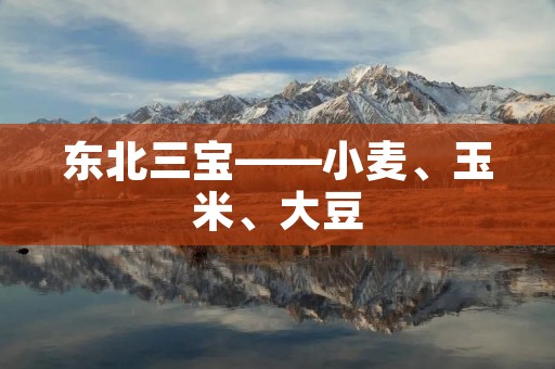东北三宝——小麦、玉米、大豆