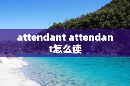 attendant attendant怎么读
