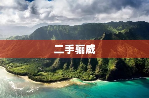 二手骊威:品质保障,性价比超高的选择 二手骊威:品质保障,性价比超高的选择