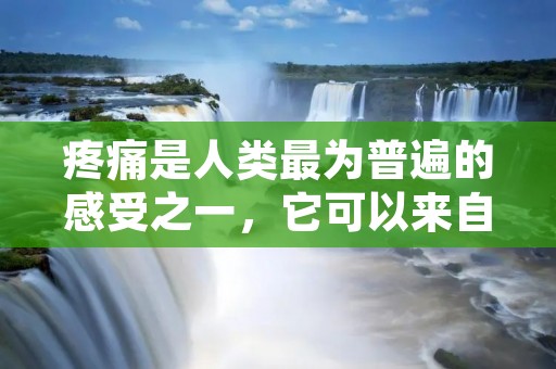 疼痛是人类最为普遍的感受之一，它可以来自身体的各个部位，也可以是心灵上的伤害。无论是身体还是心灵上的疼痛，都会让人感到难以承受。然而，有时候我们必须要忍着疼痛，继续前行。