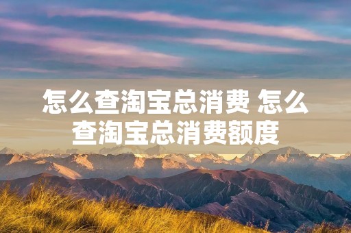 怎么查淘宝总消费 怎么查淘宝总消费额度