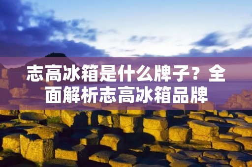 志高冰箱是什么牌子？全面解析志高冰箱品牌