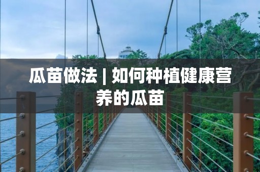 瓜苗做法 | 如何种植健康营养的瓜苗