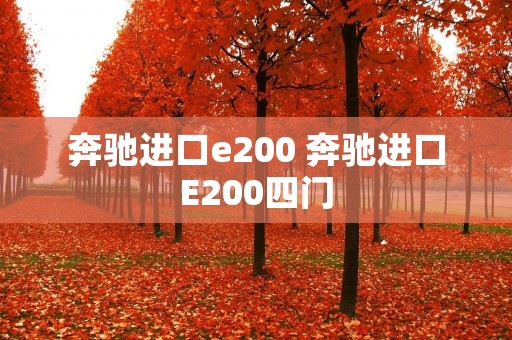 奔驰进口e200 奔驰进口E200四门