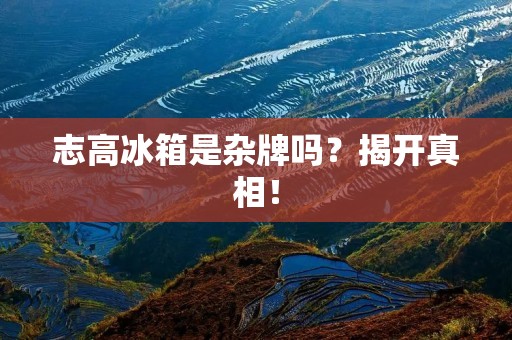志高冰箱是杂牌吗?揭开真相! 志高冰箱是杂牌吗?揭开真相!