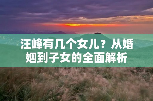 汪峰有几个女儿？从婚姻到子女的全面解析