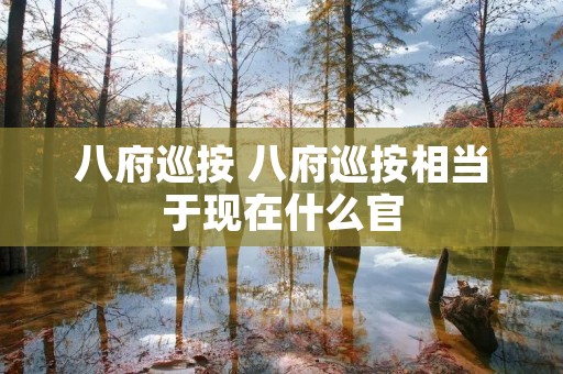 八府巡按 八府巡按相当于现在什么官