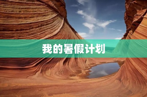 我的暑假计划