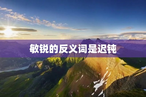 敏锐的反义词是迟钝