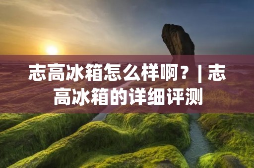 志高冰箱怎么样啊？| 志高冰箱的详细评测