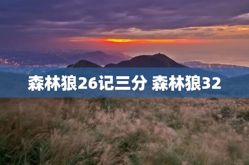 森林狼26记三分 森林狼32